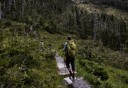 Photo of hiker on improved trail